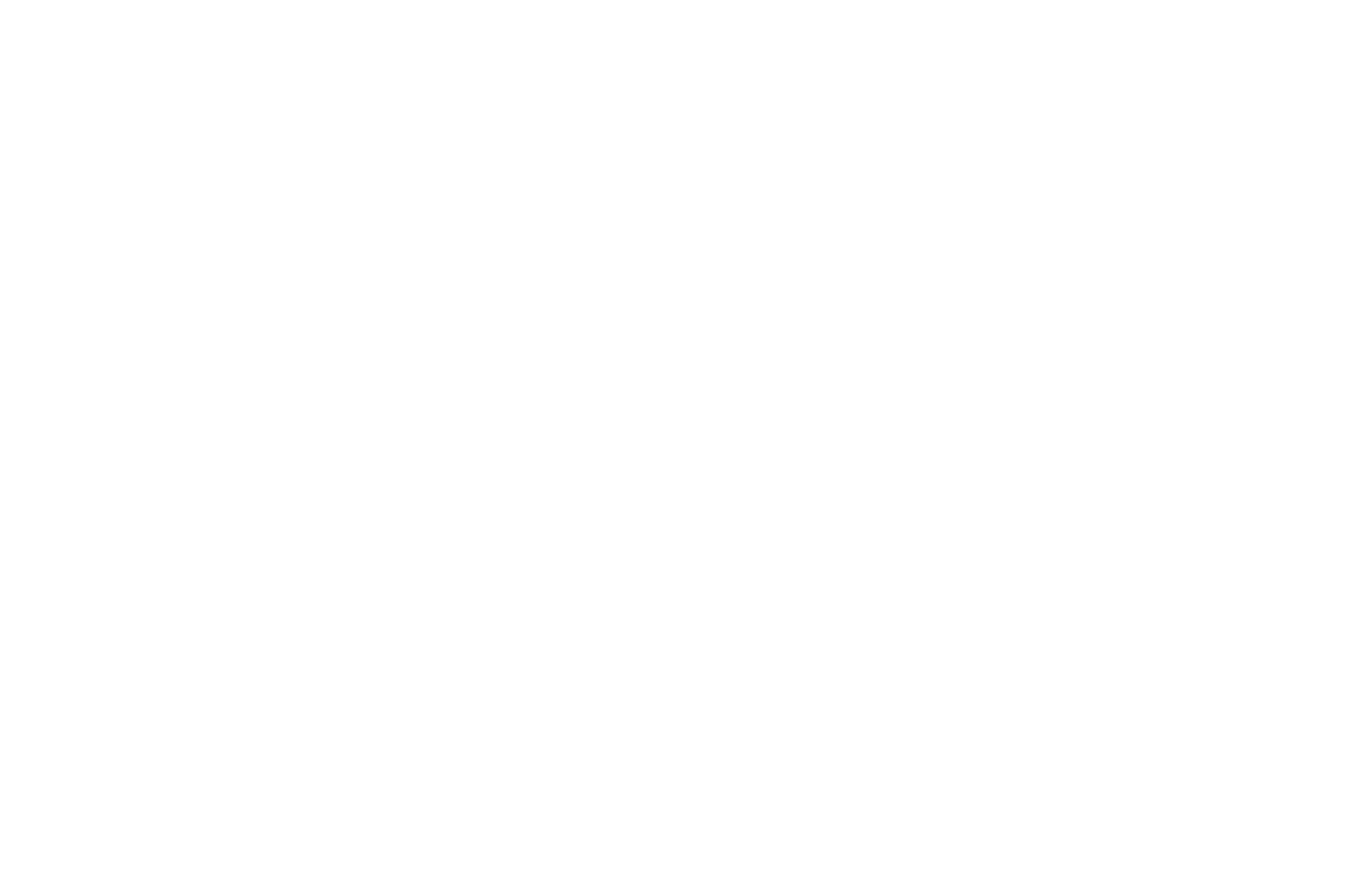 Laurel for Winner of Best Documentary at Paris Play Film Festival awarded to 'L'estoc' in 2017
