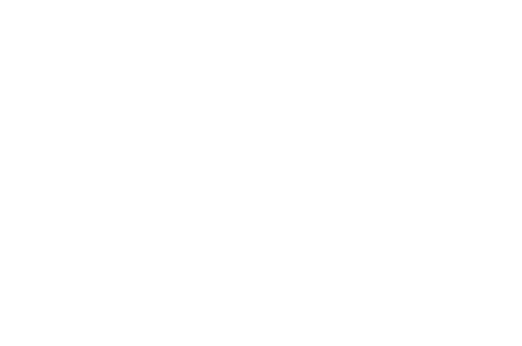 Laurel for Official Selection at Barcelona Planet Film Festival awarded to 'L'estoc' in 2017