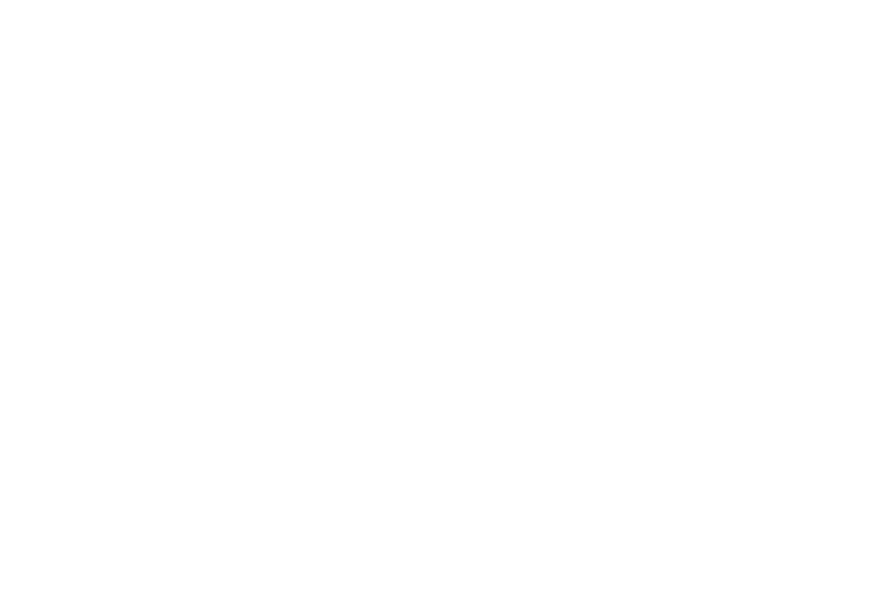 Laurel for Official Selection at Human Rights Film Festival BARCELONA Paris NYC awarded to 'L'estoc' in 2017