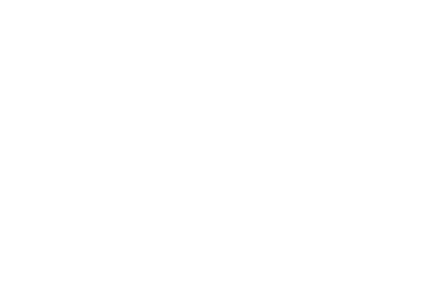 Laurel for Official Selection at Nice International Film Festival awarded to 'L'estoc' in 2018