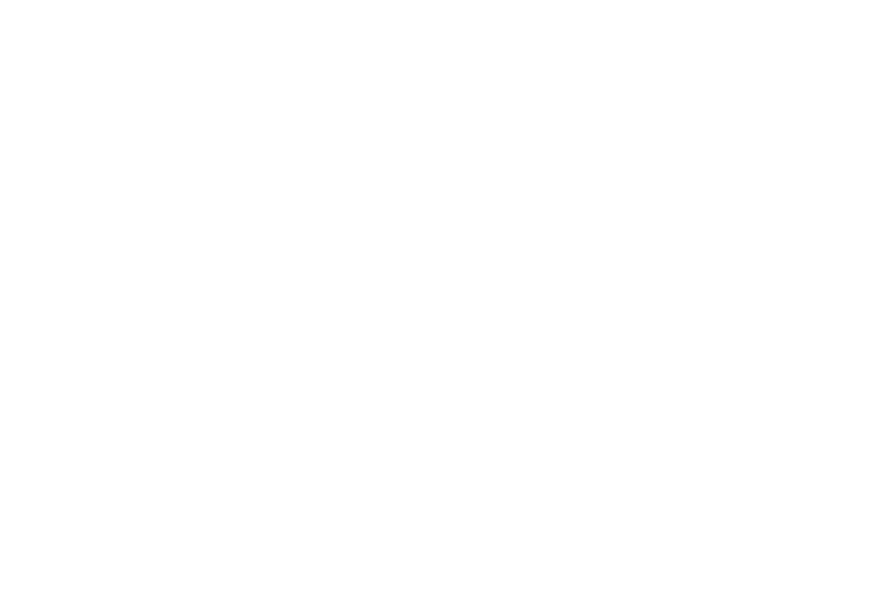 Laurel for Official Selection at Visionaria Film Festival awarded to 'Street Talk' in 2017